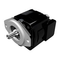 Cast Iron Motors - PGM315 Series